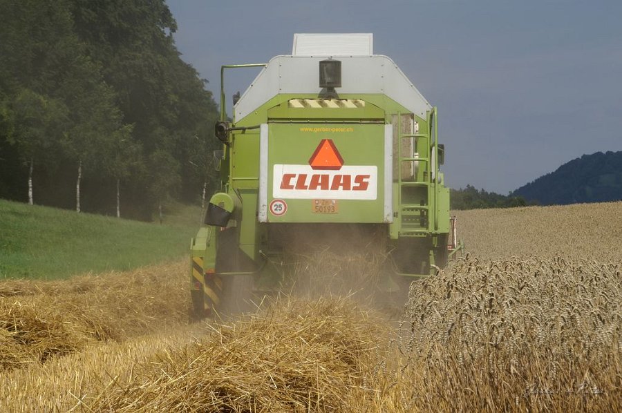 Claas Drescher 67